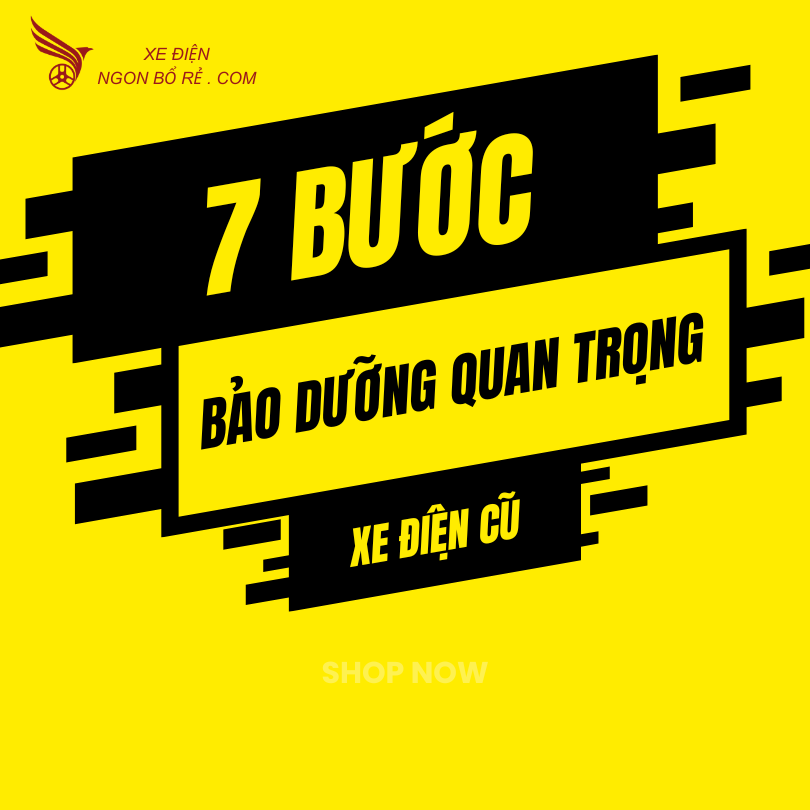 7 Bước Bảo Dưỡng Quan Trọng Chăm Sóc Xe Điện Cũ