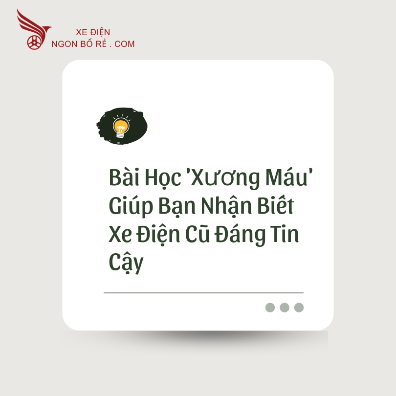 bai_hoc_xuong_mau_giup_ban_nhan_biet_xe_dien_cu_dang_tin_cay