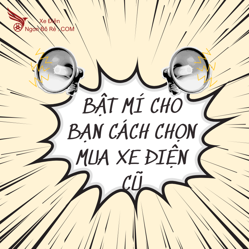 bat_mi_cho_ban_cach_chon_mua_xe_dien_cu_chat_luong_cao_voi_gia_ca_phai_chang