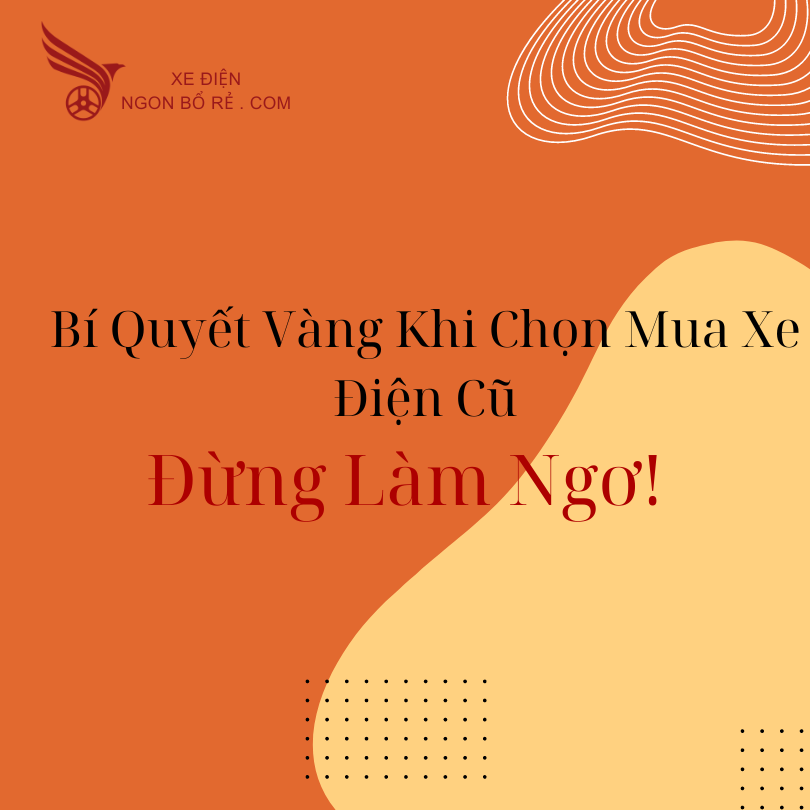 bi_quyet_vang_khi_chon_mua_xe_dien_cu_-_dung_lam_ngo
