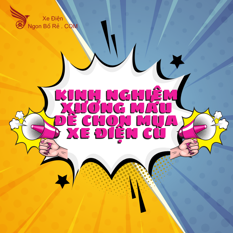 Kinh Nghiệm Sương Máu Để Chọn Mua Xe Điện Cũ Chất Lượng Cao
