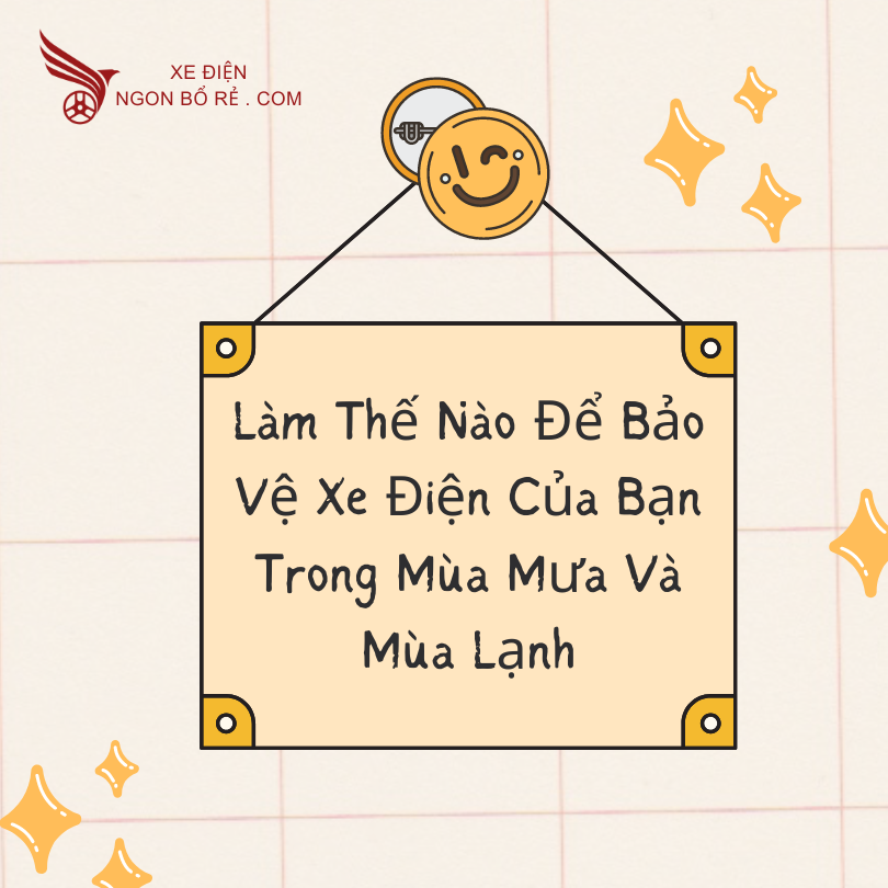 lam_the_nao_de_bao_ve_xe_dien_cua_ban_trong_mua_mua_va_mua_lanh