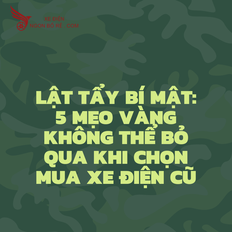lat_tay_bi_mat_5_meo_vang_khong_the_bo_qua_khi_chon_mua_xe_dien_cu
