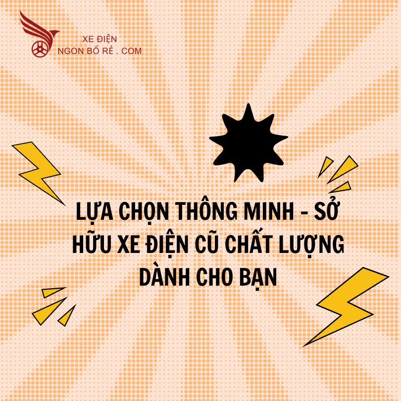 lua_chon_thong_minh_-_so_huu_xe_dien_cu_chat_luong_danh_cho_ban