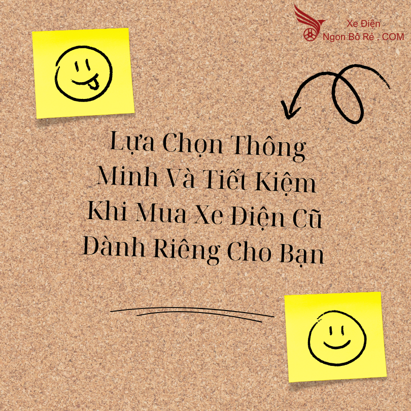 lua_chon_thong_minh_va_tiet_kiem_khi_mua_xe_dien_cu_danh_rieng_cho_ban
