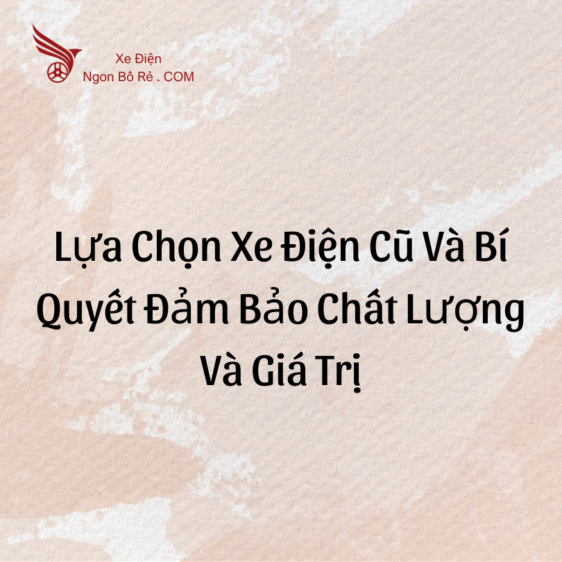 Lựa Chọn Xe Điện Cũ Và Bí Quyết Đảm Bảo Chất Lượng Và Giá Trị Dài Hạn
