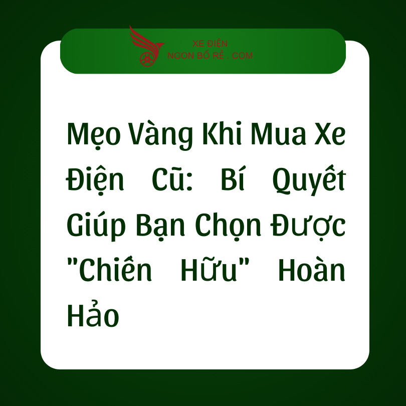 meo_vang_khi_mua_xe_dien_cu_bi_quyet_giup_ban_chon_duoc_chien_huu_hoan_hao