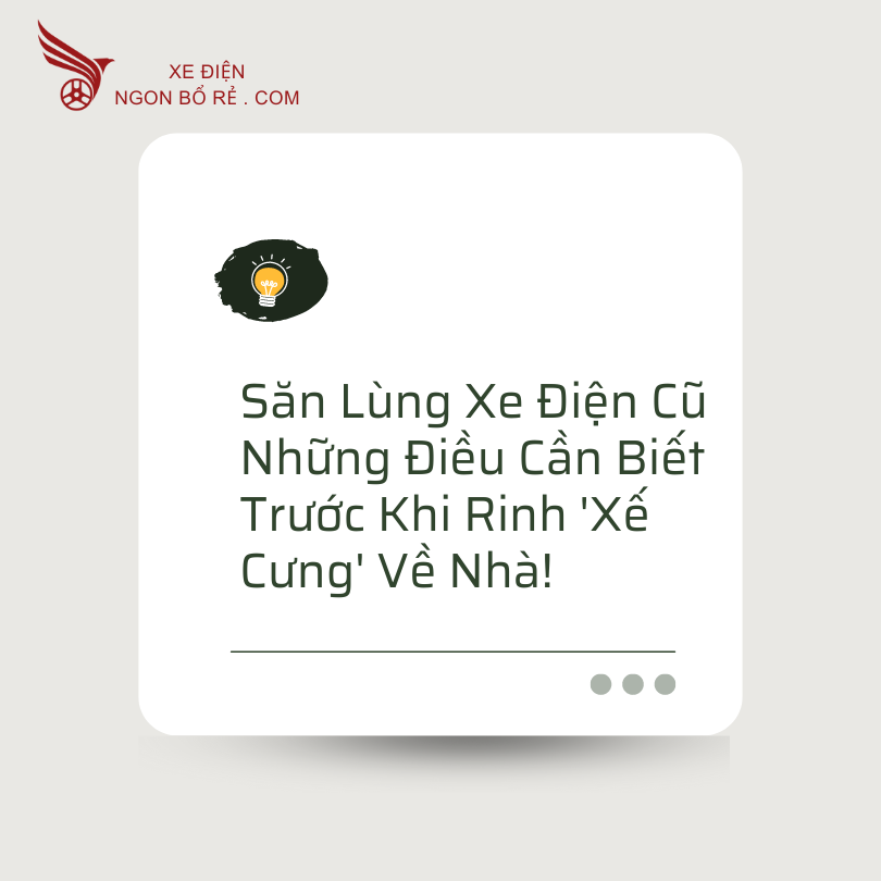 san_lung_xe_dien_cu_-_nhung_dieu_can_biet_truoc_khi_rinh_xe_cung_ve_nha