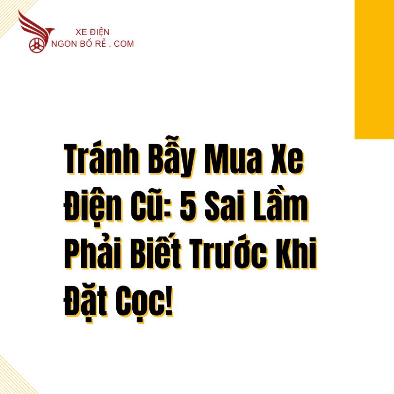 tranh_bay_mua_xe_dien_cu_5_sai_lam_phai_biet_truoc_khi_dat_coc