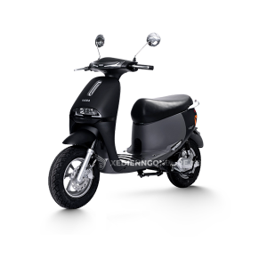 XE MÁY ĐIỆN YADEA VIGOR