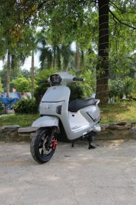 BEFORE ALL FARO (Tiêu Chuẩn)