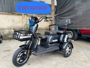 Xe điện 3 bánh Santong Winner