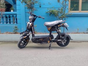 XE ĐẠP ĐIỆN 133M SUZIKA 30A
