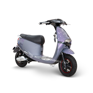 XE MÁY ĐIỆN JVC GOGO CROSS 2024