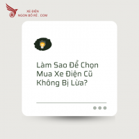 Làm Sao Để Chọn Mua Xe Điện Cũ Không Bị Lừa?