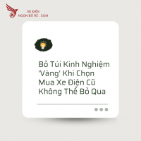 Bỏ Túi Kinh Nghiệm 'Vàng' Khi Chọn Mua Xe Điện Cũ Không Thể Bỏ Qua