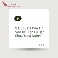 5 Lý Do Để Đầu Tư Vào Xe Điện Cũ Bạn Chưa Từng Nghe!