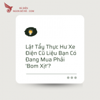 Lật Tẩy Thực Hư Xe Điện Cũ Liệu Bạn Có Đang Mua Phải 'Bom Xịt'?