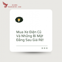 Mua Xe Điện Cũ Và Những Bí Mật Đằng Sau Giá Rẻ!
