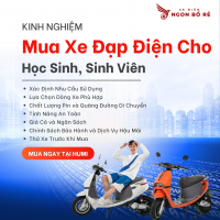 Kinh Nghiệm Mua Xe Đạp Điện Cho Học Sinh, Sinh Viên