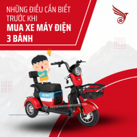 Những Điều Cần Biết Trước Khi Mua Xe Máy Điện 3 Bánh