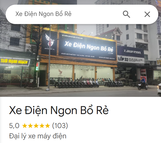 Xe Điện Ngon Bổ Rẻ Hân Hoan Đạt Mốc 100 Đánh Giá 5 Sao – Tri Ân Khách Hàng Thân Yêu!